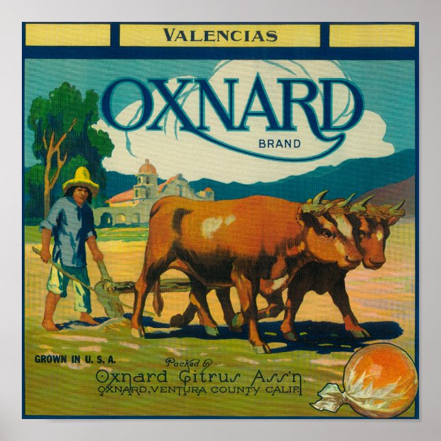 Oxnard Orange LabelOxnard, CA Poster (Vorne)