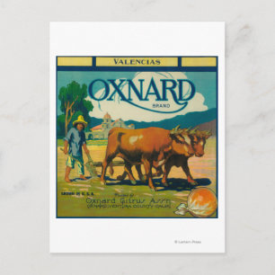 Oxnard Orange LabelOxnard, CA Postkarte