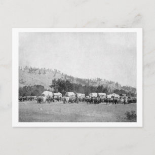 Oxteams und Wagen in einem Schwarzen Tal Postkarte