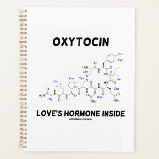 Oxytocin Liebe Hormon Inside Chemie Planer