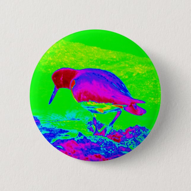 Oyster Catcher Button (Vorderseite)