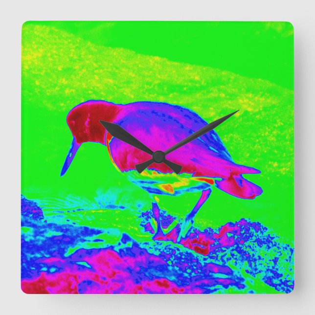 Oyster Catcher Quadratische Wanduhr (Vorderseite)