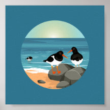Oyster Catchers Illustration