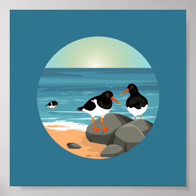 Oyster Catchers Illustration Poster (Vorne)