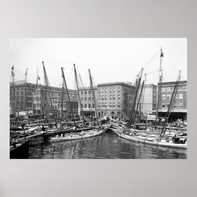 Oyster Luggers Poster (Vorne)