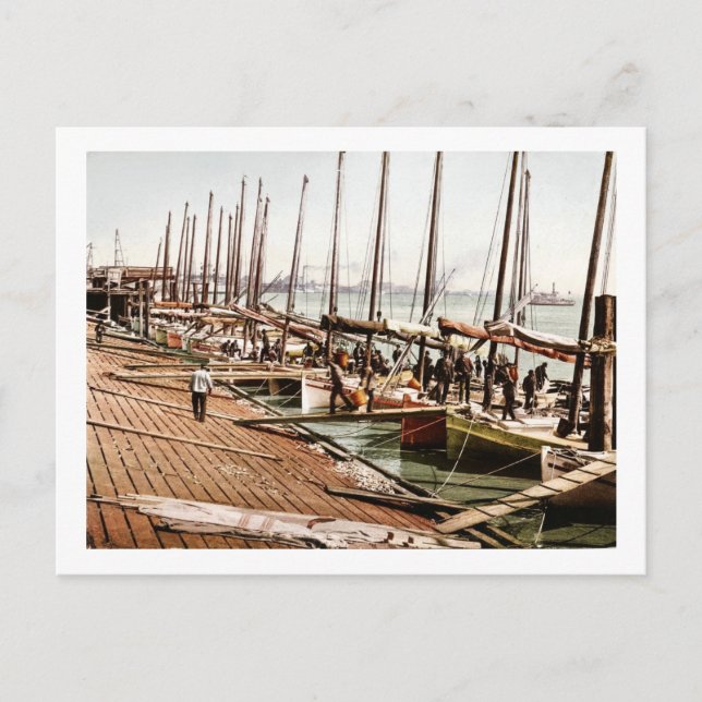 Oyster Smacks on the Levee New Orleans 1900 Postkarte (Vorderseite)