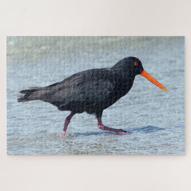OYSTERCATCHER 20x30 INCH Puzzle (Horizontal)