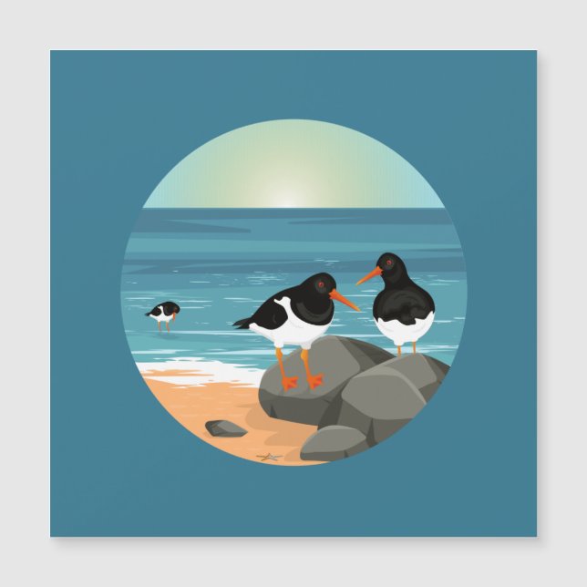Oystercatcher an der Küste Magnetkarte (Vorderseite)