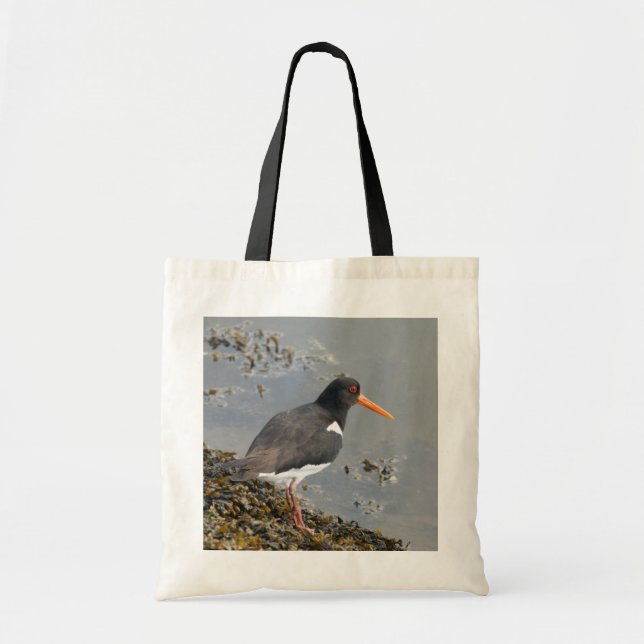 Oystercatcher-Budget-Taschen-Tasche Tragetasche (Vorne)