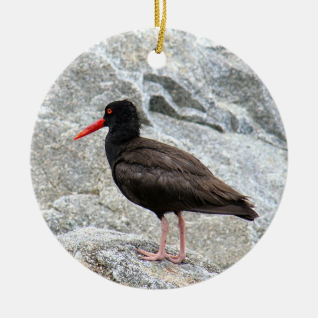 Oystercatcher Keramikornament (Vorne)