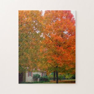 Ozark Arkansas. Puzzle