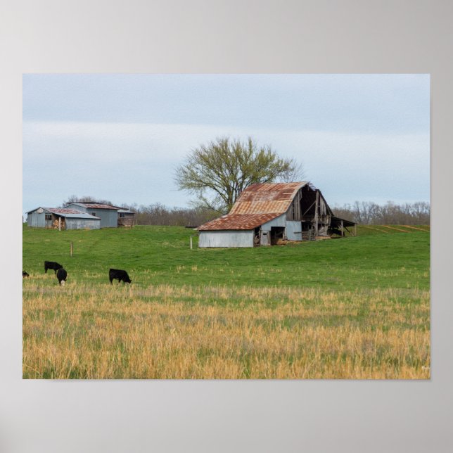 Ozark Old Farm Poster (Vorne)