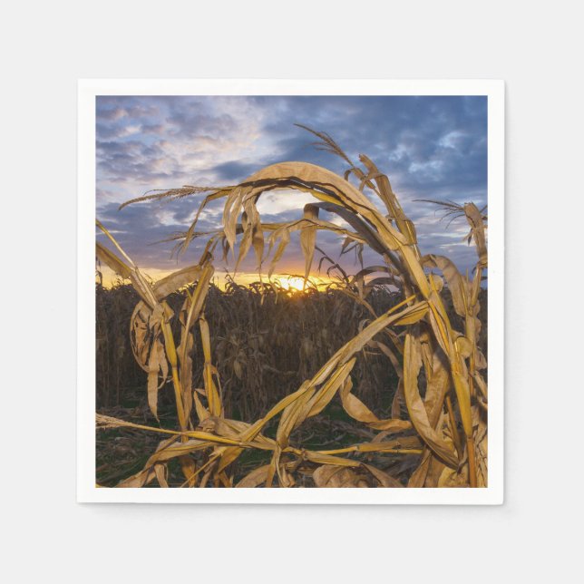 Ozarks Harvest Serviette (Vorderseite)