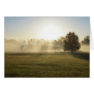 Ozarks Morning Fog