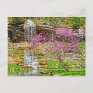 Ozarks Waterfall Spring Bluff Postkarte