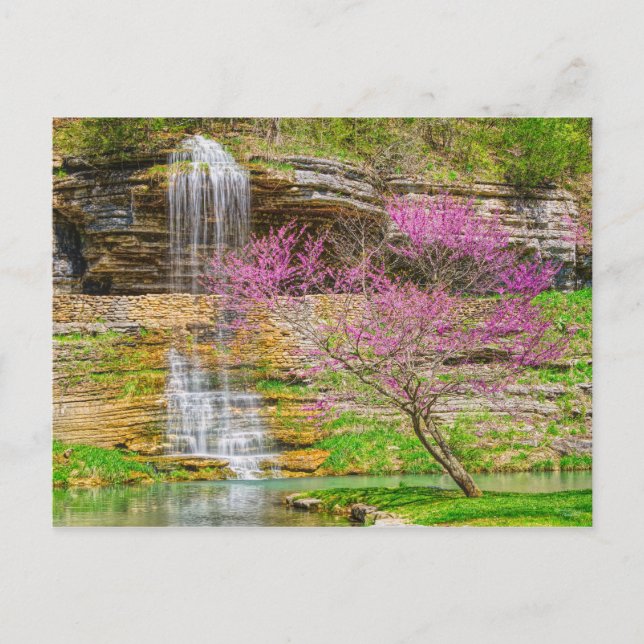 Ozarks Waterfall Spring Bluff Postkarte (Vorderseite)