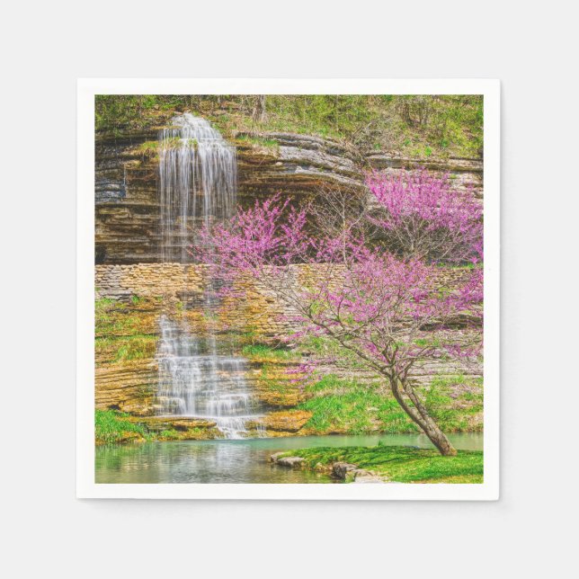Ozarks Waterfall Spring Bluff Serviette (Vorderseite)