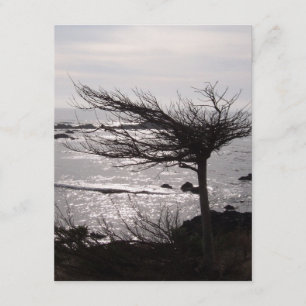 Ozean-Baum-Bibel-Vers-Ermutigungs-Karte Karte