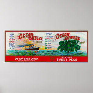 Ozean-Brisen-Platterbsen-Aufkleber Poster