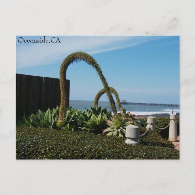 Ozean, Ca, Ozean, CA Postkarte (Vorderseite)