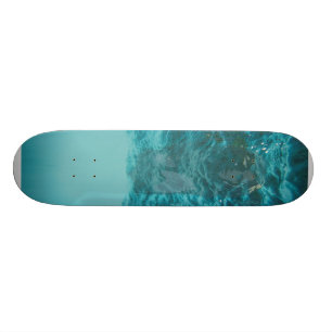 Ozean-Entwurf Skateboard