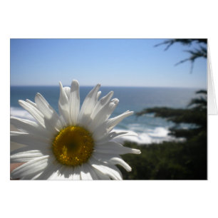 Ozean-Strand-Gänseblümchen