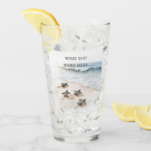 Ozean Strand Küste Meeresschildkröten Glas