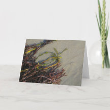 Ozean-Strand-Meerespflanze