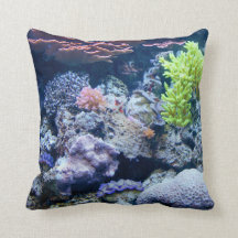 Ozean unter Wasser, Meer, echtes Bild