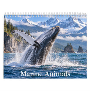 Ozean-Wildlife-Szenenderkalender Kalender