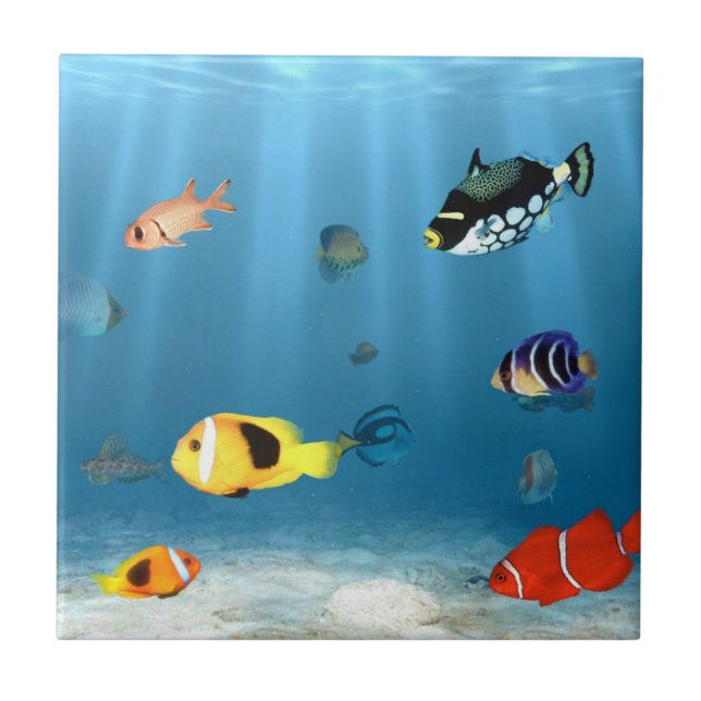 Ozeane der Fische Fliese (Vorderseite)