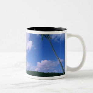 Ozeanien, Französisch-Polynesien, Tahiti. Ansicht Zweifarbige Tasse