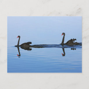 Ozeanien, Neuseeland, Südinsel, Hokitika - Postkarte