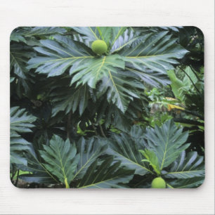 Ozeanien, Südpazifik, Französisch-Polynesien, Mousepad