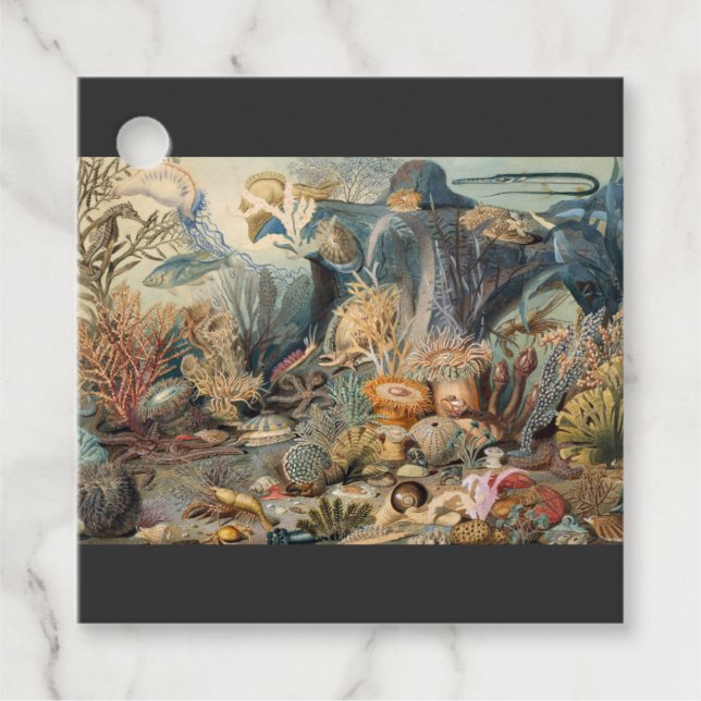 Ozeanwelt, unter dem Meer, nautisch Geschenkanhänger (Vorderseite)