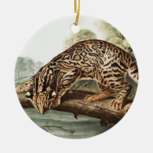 Ozelot, Leopardkatze (Felis pardalis) Illustration Keramik Ornament