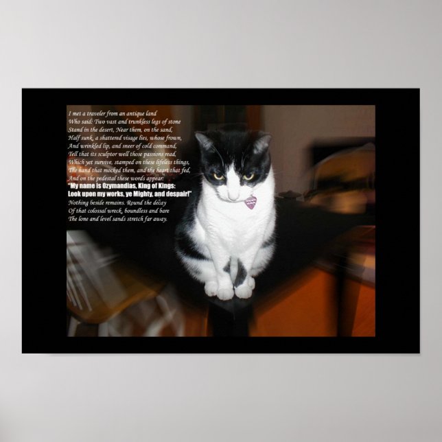 Ozymandias Poster (Vorne)