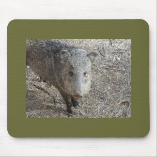 P1010073 Javelina mousepad