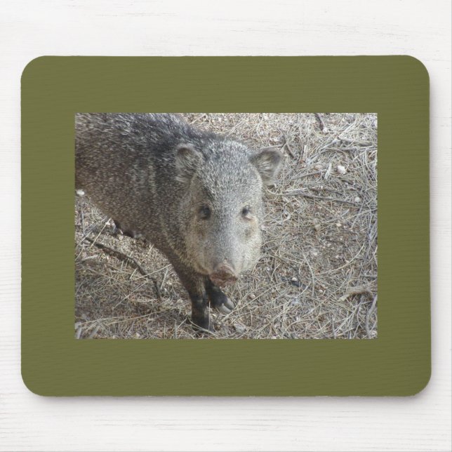 P1010073 Javelina mousepad (Vorne)