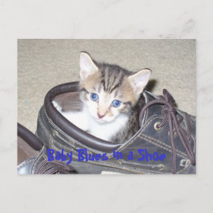 P1020640_153_153, Baby-Blues in einem Schuhwerk Postkarte