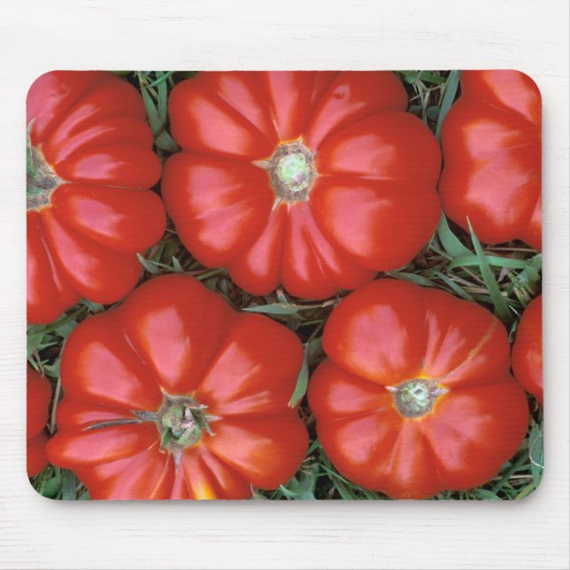 P1950B_Italian tomatoes-Edit-Edit_Zazzle Mousepad (Vorne)
