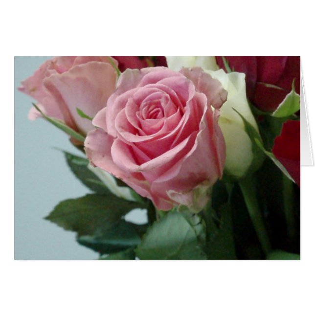 P2130014 (Vorderseite (Horizontal))