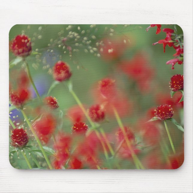 P2290C_strawberry ghomphera_zazzle Mousepad (Vorne)