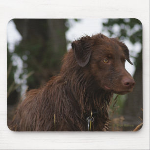 P2 Roter Hund Sam Flatlandersam Mousepad