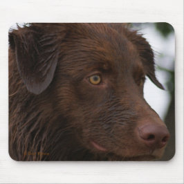P2a Red Dog Sam Flatlandersam Up Nah Mousepad