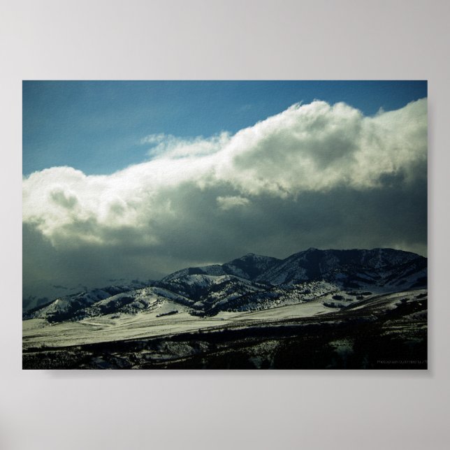 P3051 Print Poster (Vorne)