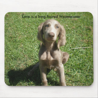 P3091298, Liebe ist ein langhaariges Weimaraner Mousepad