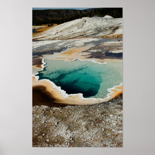 #P4078 Print Poster (Vorne)