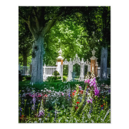 P5270048-Governor's Palace Gardens Fotodruck