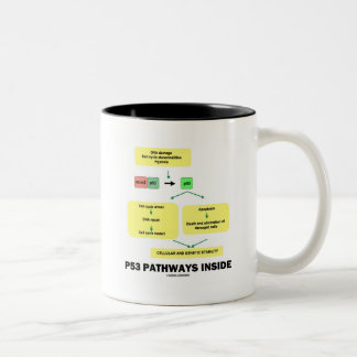 P53 Wege im Inneren (Zellmolekularbiologie) Zweifarbige Tasse